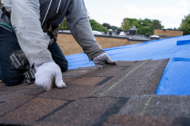 Best Commercial Roofing Services  in Cypress Landing, NC